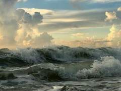 고래는 우물 속에 있을 수 없다 - 1