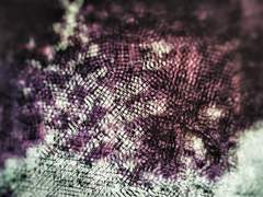 새로운 시계토끼