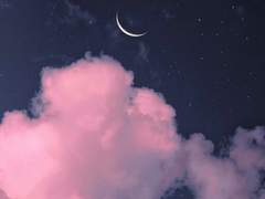 [정휘월 / 3학년 / 여성 XX]