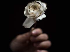 주인 없는 상장