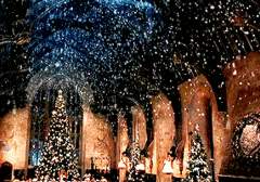 뜰팁 해리포터 au