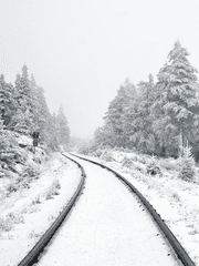 [가제] 겨울을 품은 씨앗