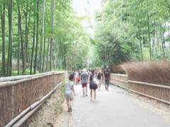 교토 여행 사진