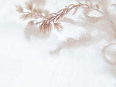 8. 앞으로가 더 재밌을 거 같아 (完)