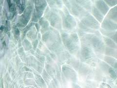 내 모래 속의 머리와 네 막연한 심해