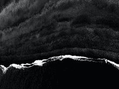 이혼타로 (ft.아키)