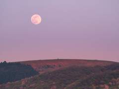 차디찬 그 숨결을