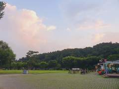 Hailey Stella / 후플 푸프