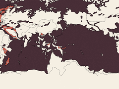 [가상] 아란티아 전도