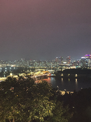 시골쥐의 상경이야기.