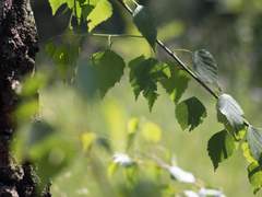 하지만 여름이야말로 가장 근사한 계절이지