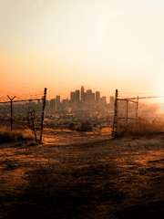 좀비 아포칼립스