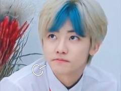 엔시티 나페스 추천