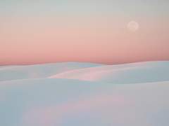 이 가을을 견디면