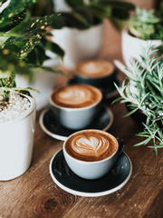 커피향 박하사탕