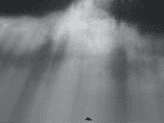 아홉 번째 클리파