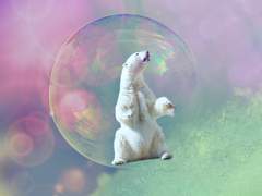 사랑에 PANG!지는 순간