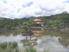 교토 여행 사진