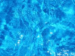 거스르지 않고 순종하니 이 지경이 된 것이죠.