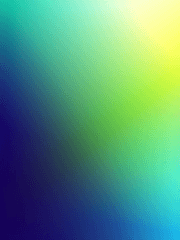 와디즈 펀딩 리뷰