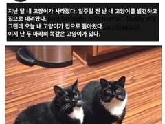 하이큐/드림 이걸로 미야즈줍한 여주 보고싶다