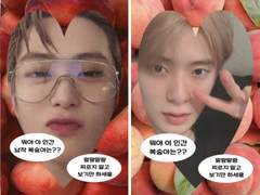 🍑투명포카 도안 배포🍑 복숭아