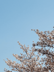 여자는 상주가 될 수 없어요