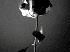 프롤로그 이라고 하지만 캐릭터 설명서