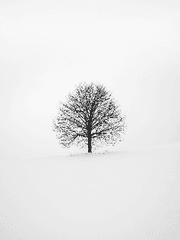 내가 키운 S급들