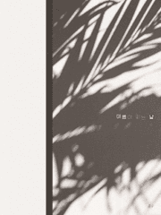 여름이 피는 날