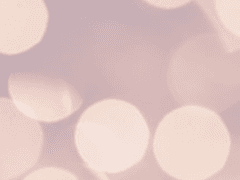 잊은 것, 없는 것