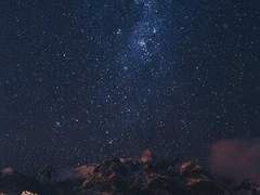 이라, XX, 18, 윈터 화이트 햄스터