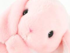 [세준] CAFE 422 : STRAWBERRY MILK 01