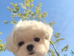 우당탕탕 수인학교 8