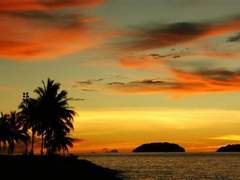 [원소조조] 아일랜드-12