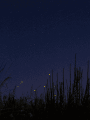 짧은 글, 마음을 울리는