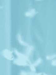 밤이아빠와 밤이바라기