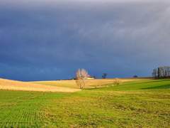 왜 위에 있을 거라 생각한걸까