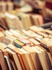 뿌리와 열매 사이