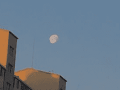 왜 나를 살리셨나요