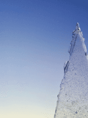 말 안듣는 멍멍이