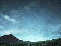 발췌이미지 (타이틀 표기X)