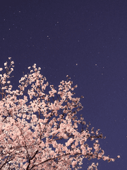 믿었는데, 너는