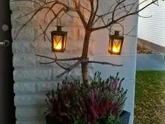 마음이 원하는 대로/이도은