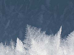 계절의 끝에서 마지막 축제를!