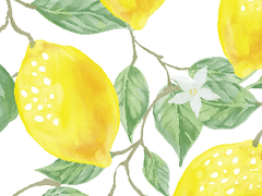 [공지]투비컨티뉴드로 이전합니다