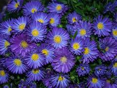 Change, Growth, And···?