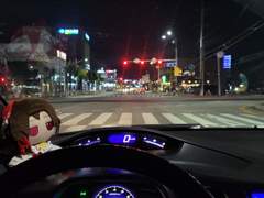 내 단칸방의 침략자