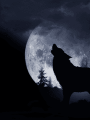 (단편) 루나틱 나이트