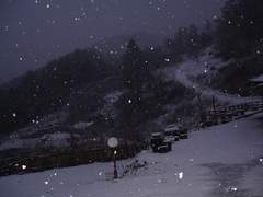 엄동설한(嚴冬雪恨) - 1